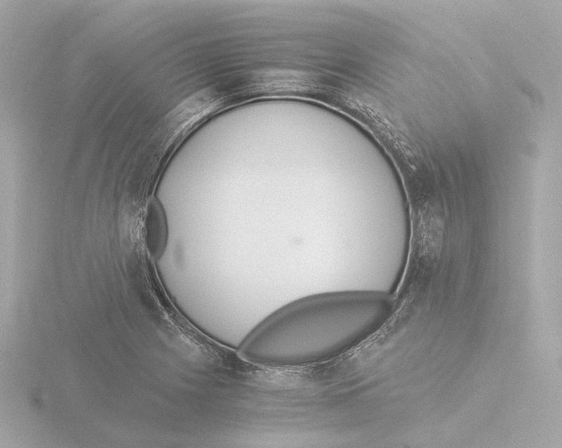 X0000116051225200912181244