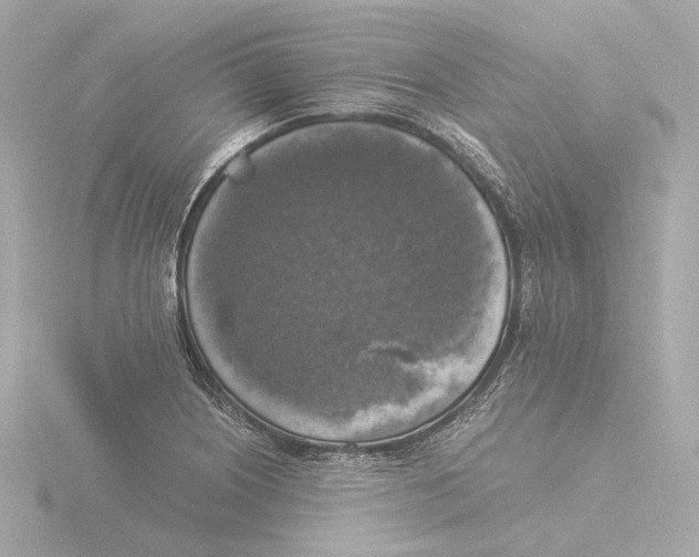 X0000116051226200912181244