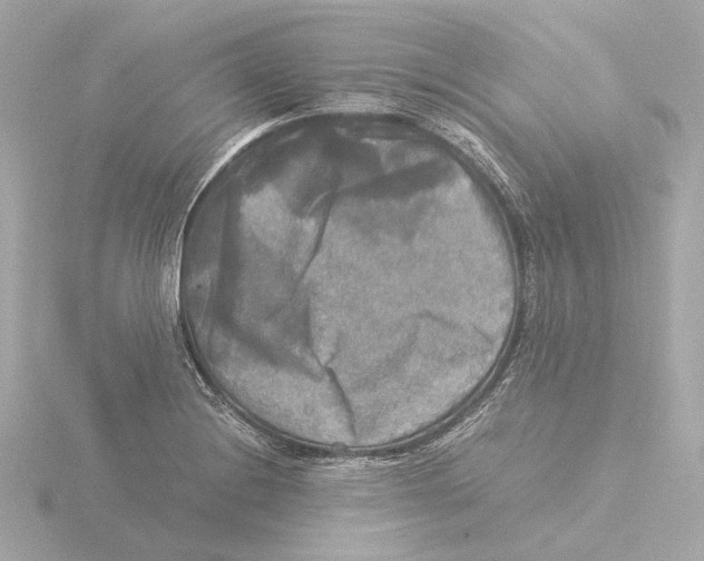 X0000116051228200912181244