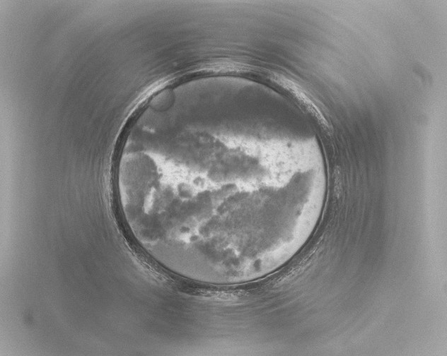 X0000116051229200912181244