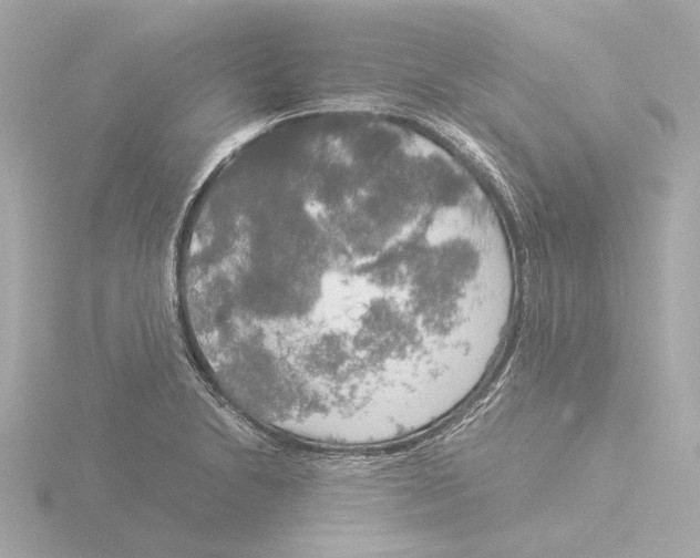 X0000116051230200912181244