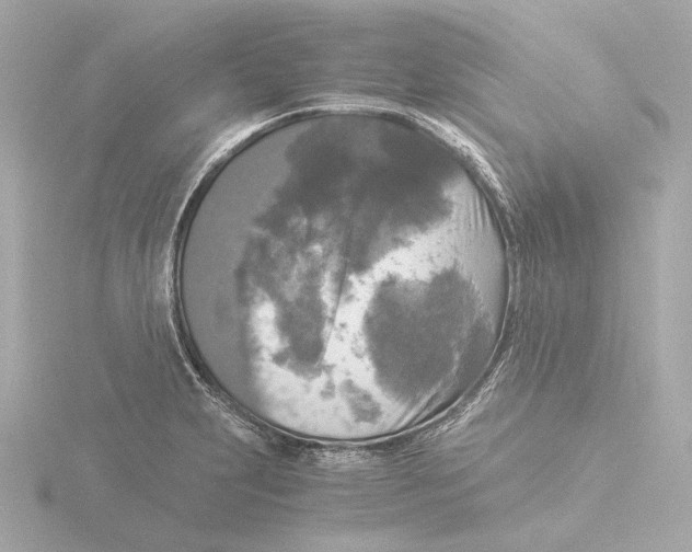 X0000116051231200912181244