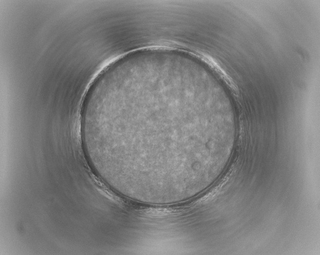 X0000116051232200912181245