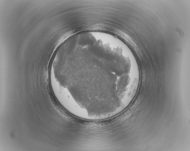 X0000116051234200912181245