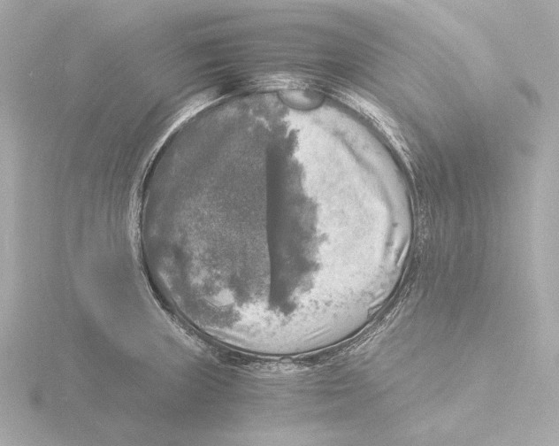 X0000116051235200912181245