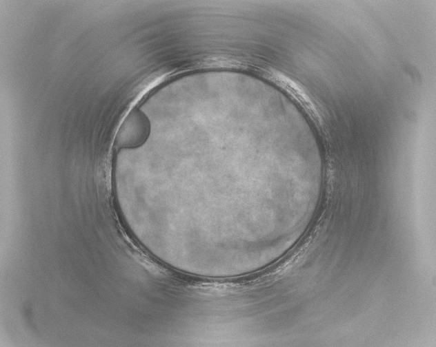 X0000116051236200912181245