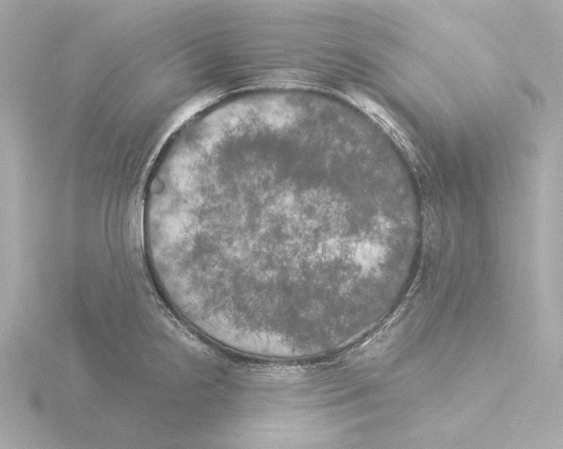 X0000116051238200912181245