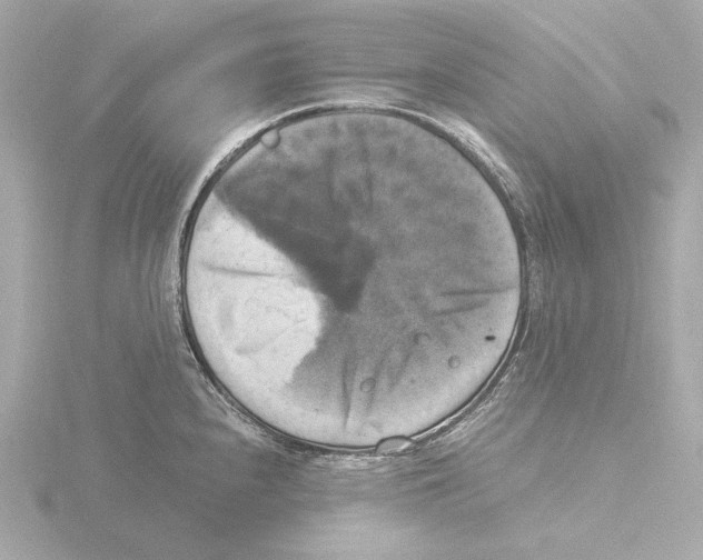 X0000116051240200912181245