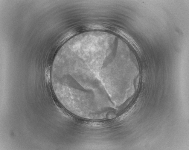 X0000116051241200912181245