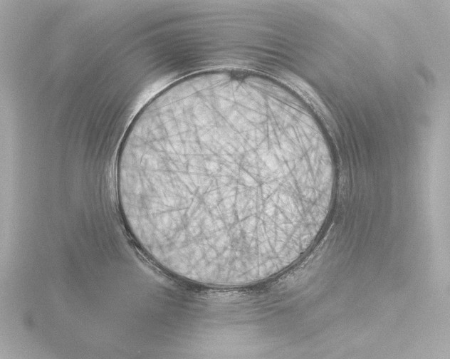 X0000116051242200912181245