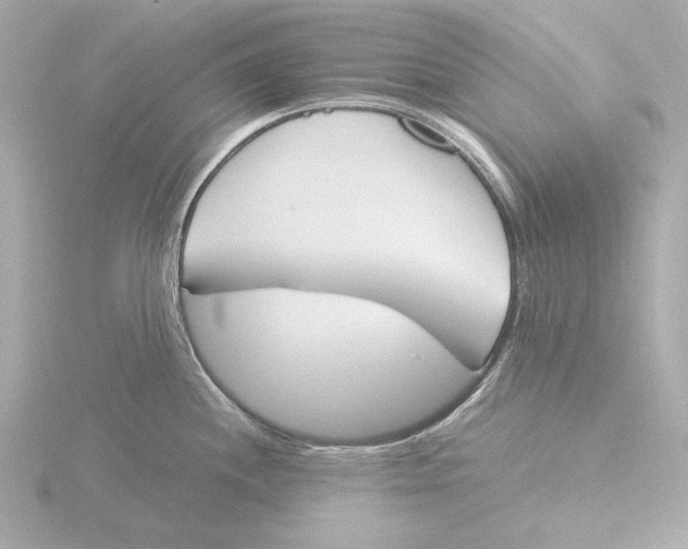 X0000116051244200912181245