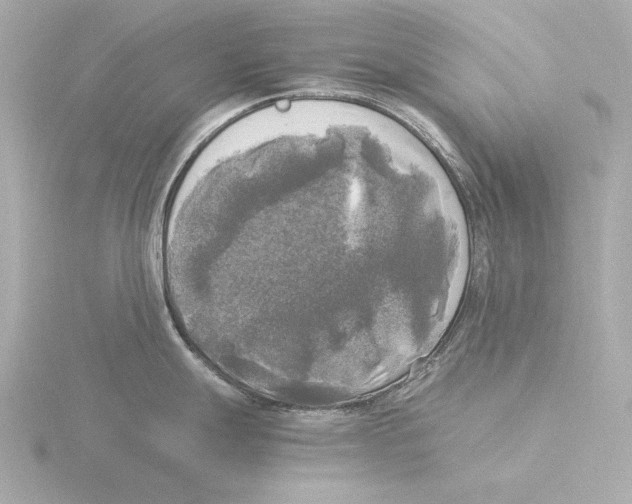 X0000116051247200912181245