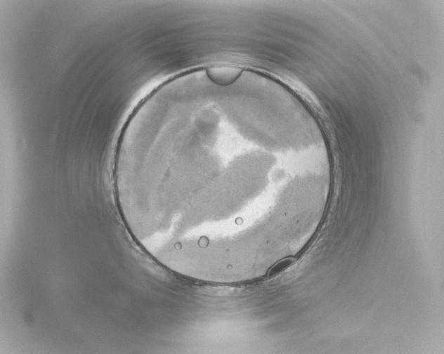 X0000116051248200912181245