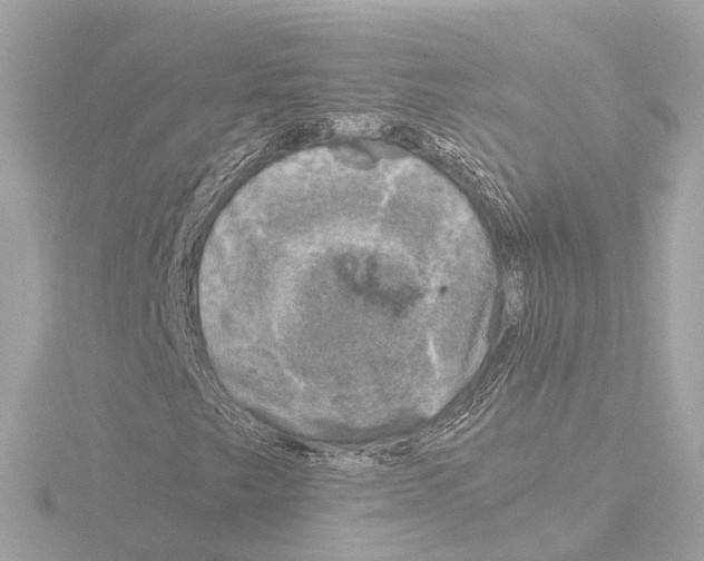 X0000116051249200912181244