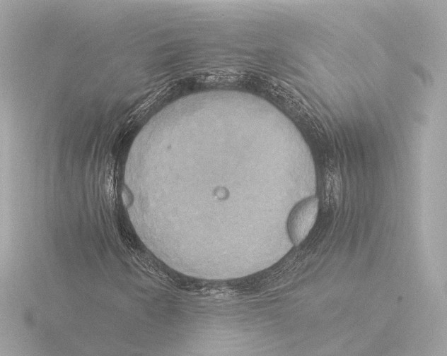 X0000116051250200912181244