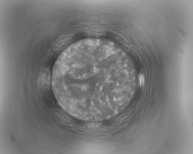 X0000116051251200912181244