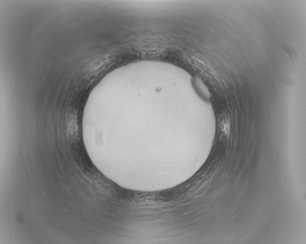 X0000116051252200912181244