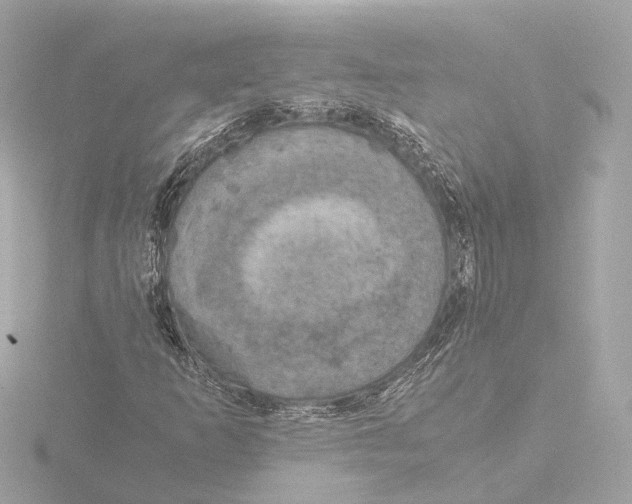 X0000116051253200912181244