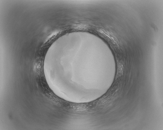 X0000116051254200912181244