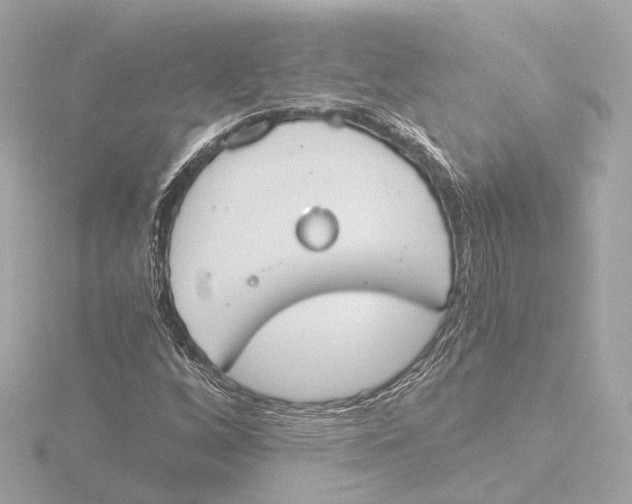 X0000116051256200912181244