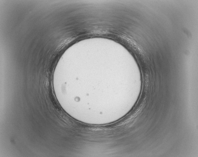 X0000116051257200912181244