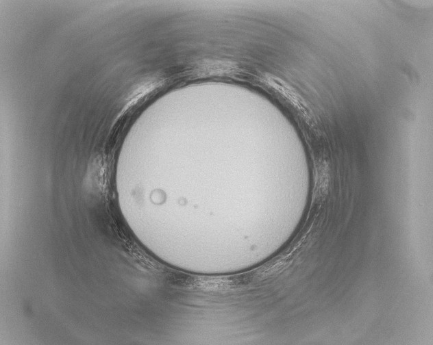 X0000116051258200912181244