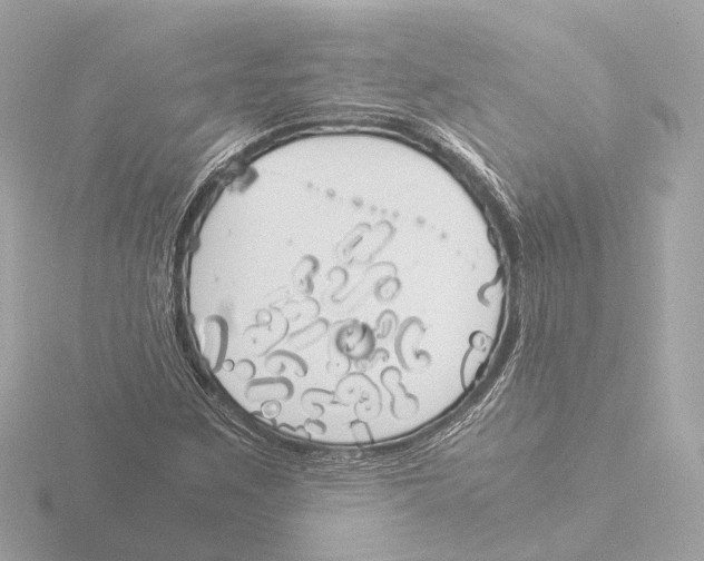 X0000116051259200912181244