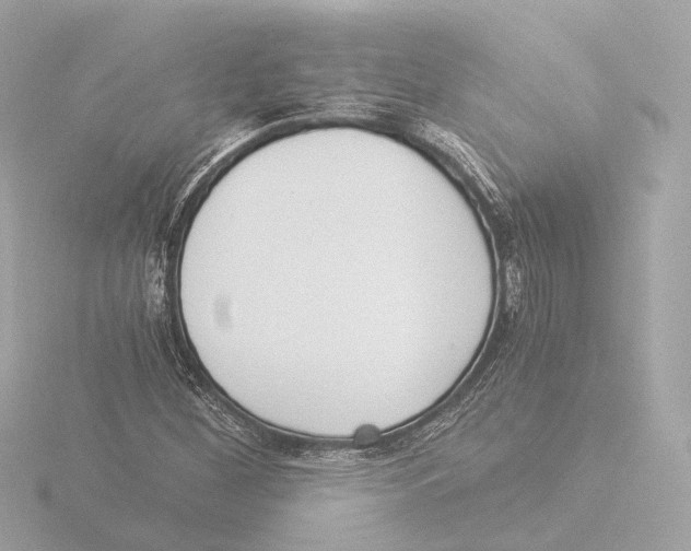 X0000116051260200912181244