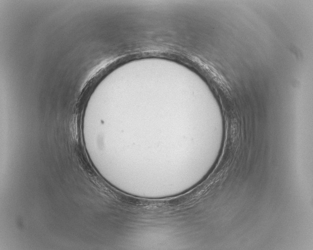 X0000116051262200912181244