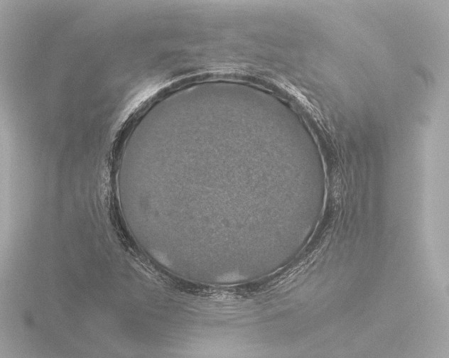 X0000116051263200912181244