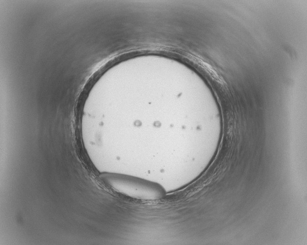 X0000116051264200912181244