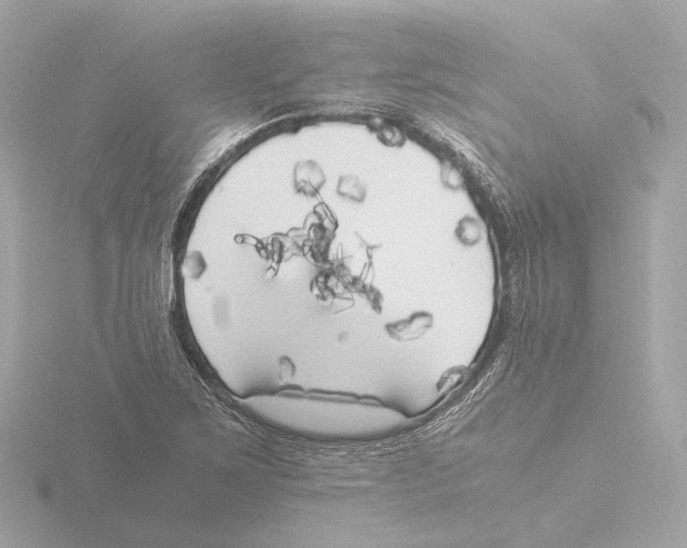 X0000116051267200912181244