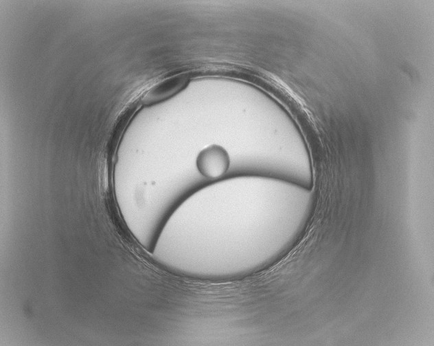 X0000116051269200912181244