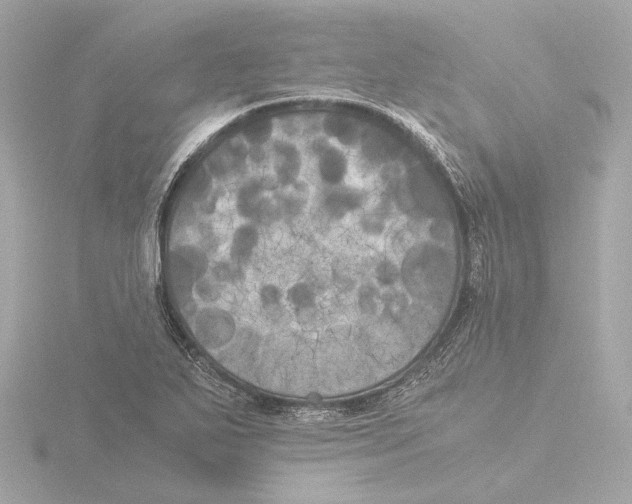 X0000116051271200912181244