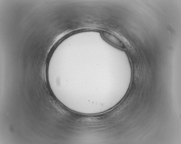 X0000116051272200912181244