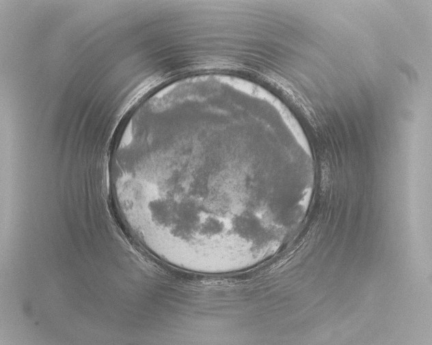 X0000116051274200912181244