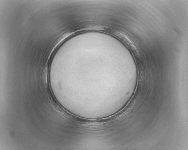 X0000116051276200912181244