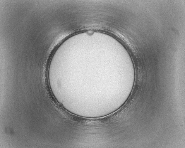 X0000116051277200912181244