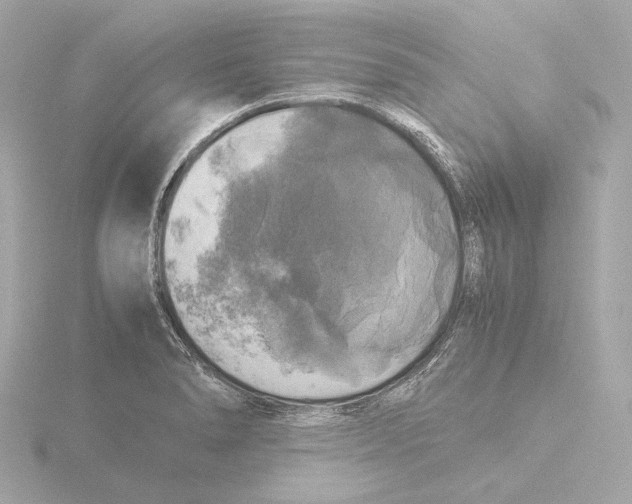 X0000116051278200912181244