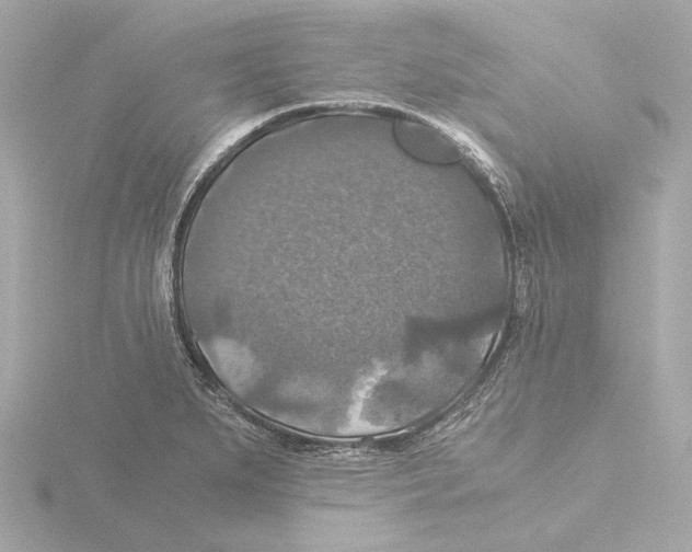 X0000116051279200912181244