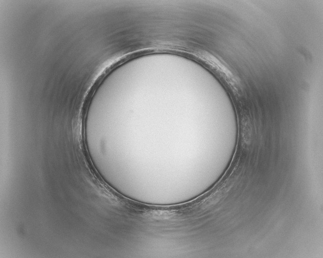 X0000116051280200912181244