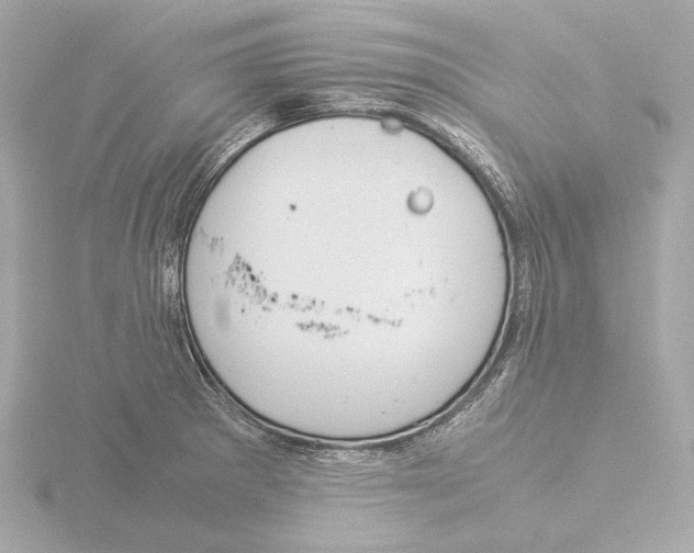 X0000116051281200912181244