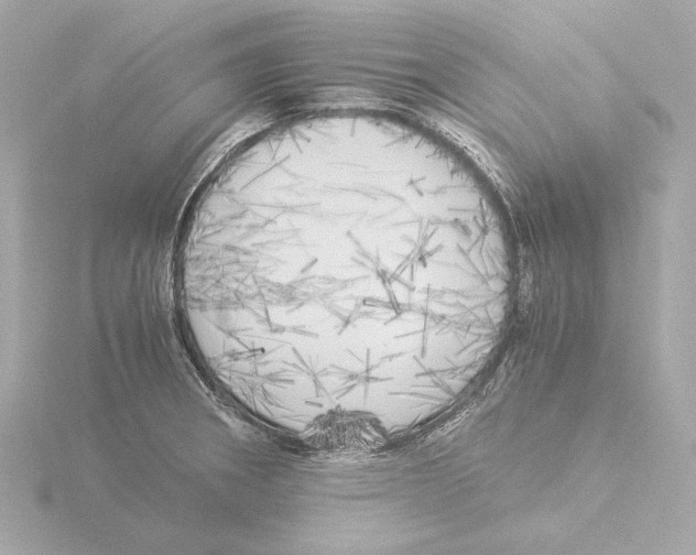 X0000116051282200912181244