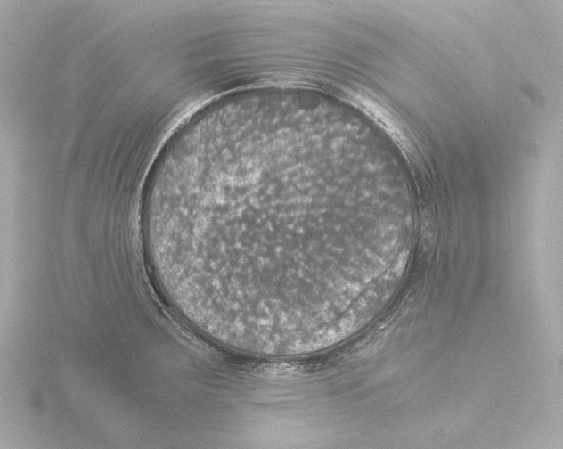 X0000116051283200912181244