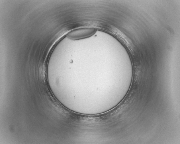 X0000116051284200912181244