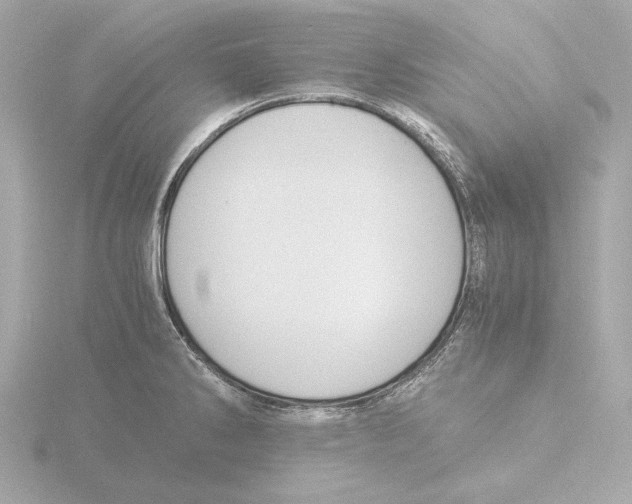 X0000116051286200912181244