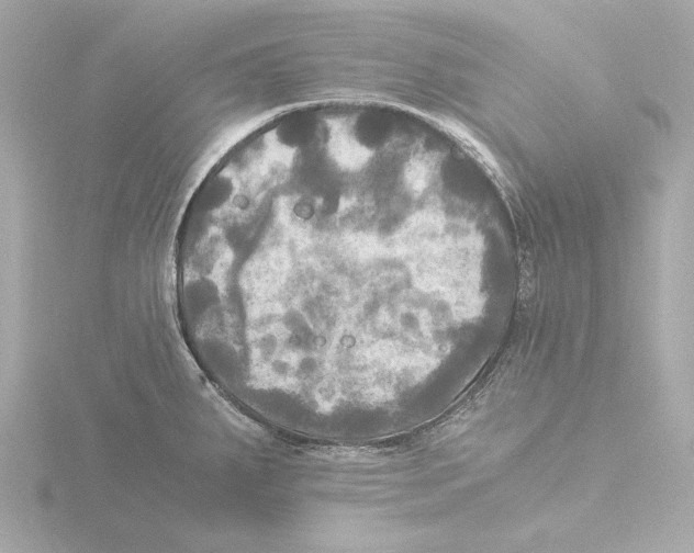 X0000116051287200912181244