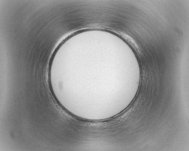 X0000116051288200912181244