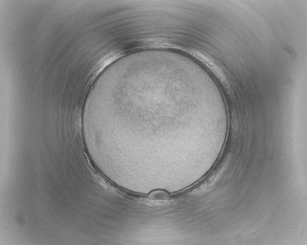 X0000116051289200912181244