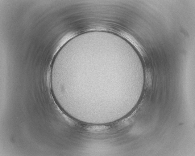 X0000116051290200912181244